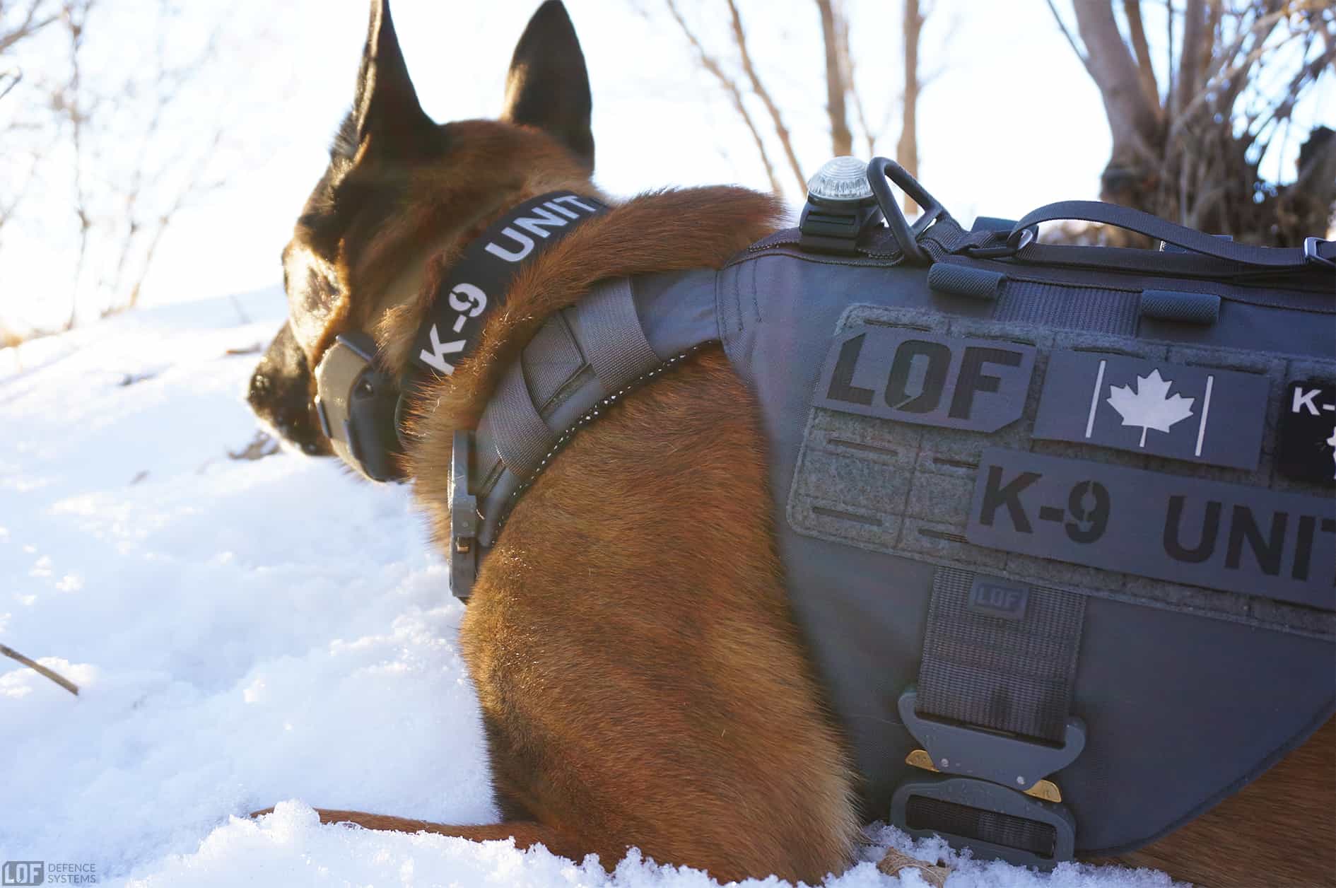 Canadian Flag Patch attached to K9 Harness
