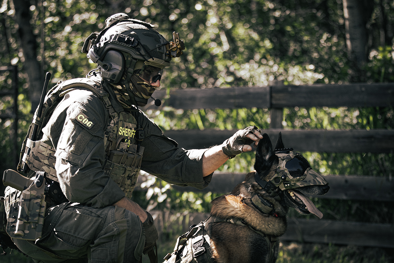 Police Malinois wearing an LOF K9 Adaptive E-Collar 