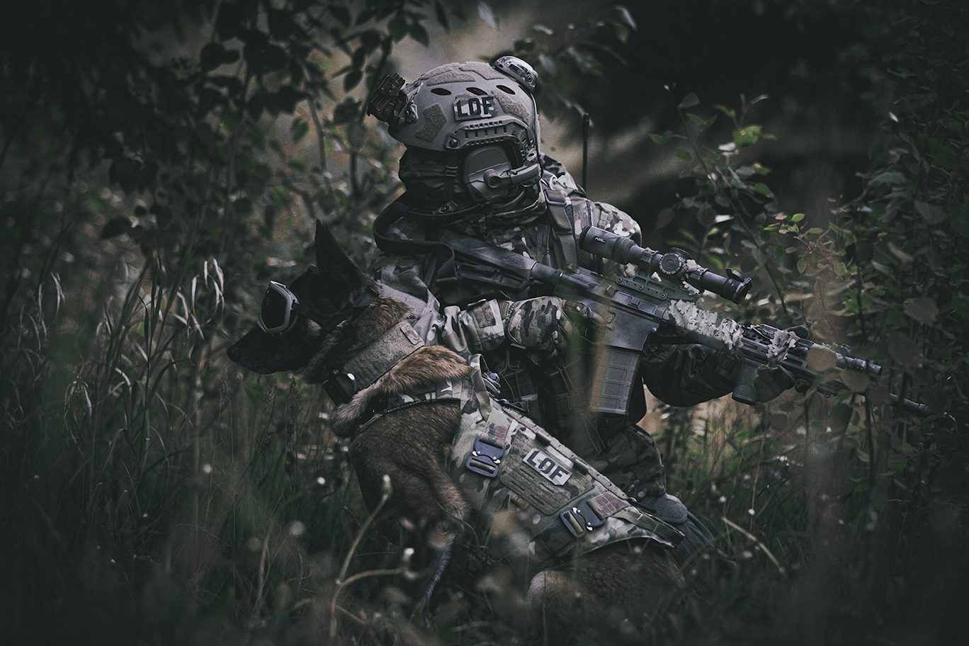 Legacy k9 gear online