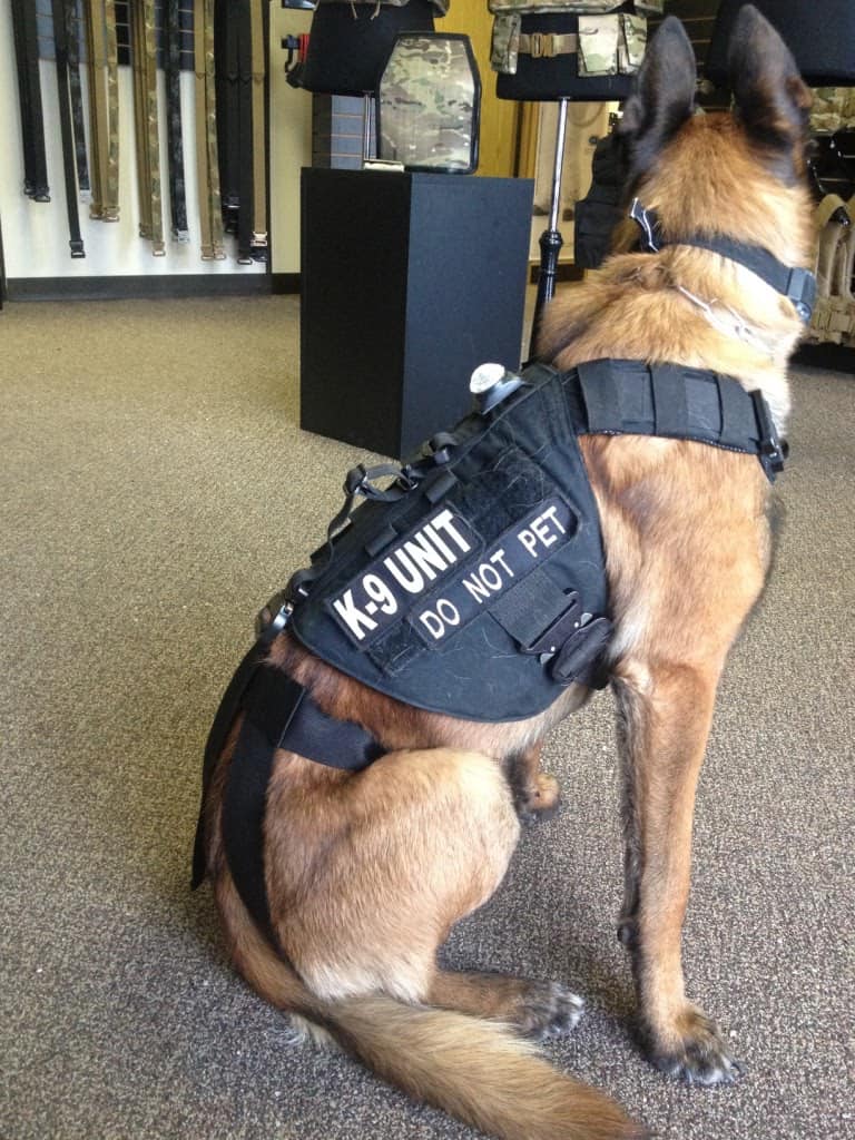 K9 Units Custom Tailor To Your K9 Team s Needs LOF Defense Systems k9-units-custom-tailor-to-your-k9-team-s-needs-lof-defense-systems