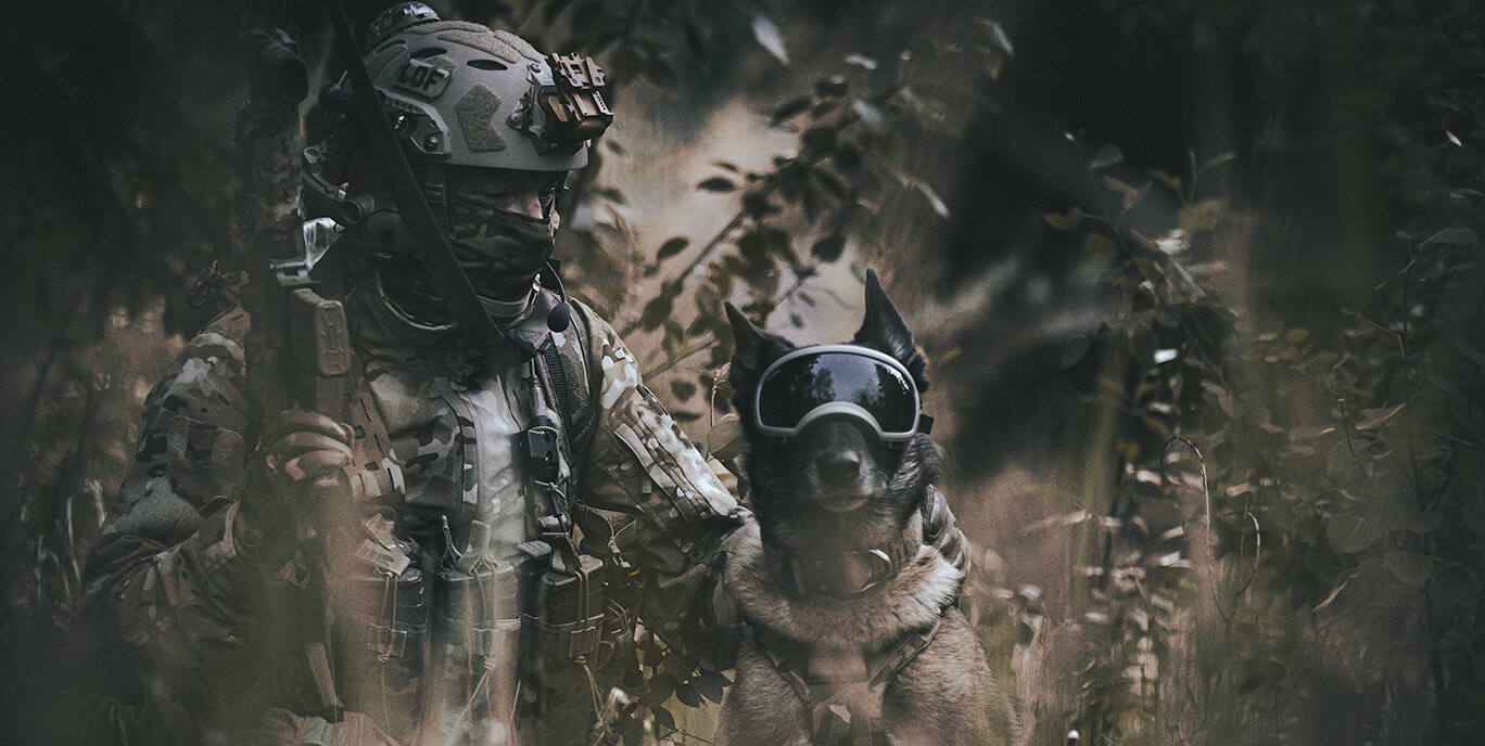 K9 Body Armour