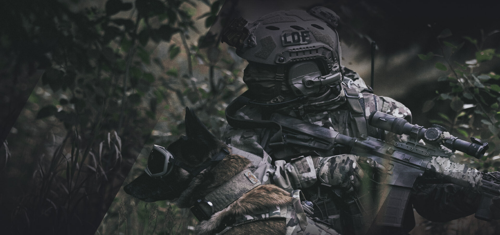 Raising the Standard in Protection
