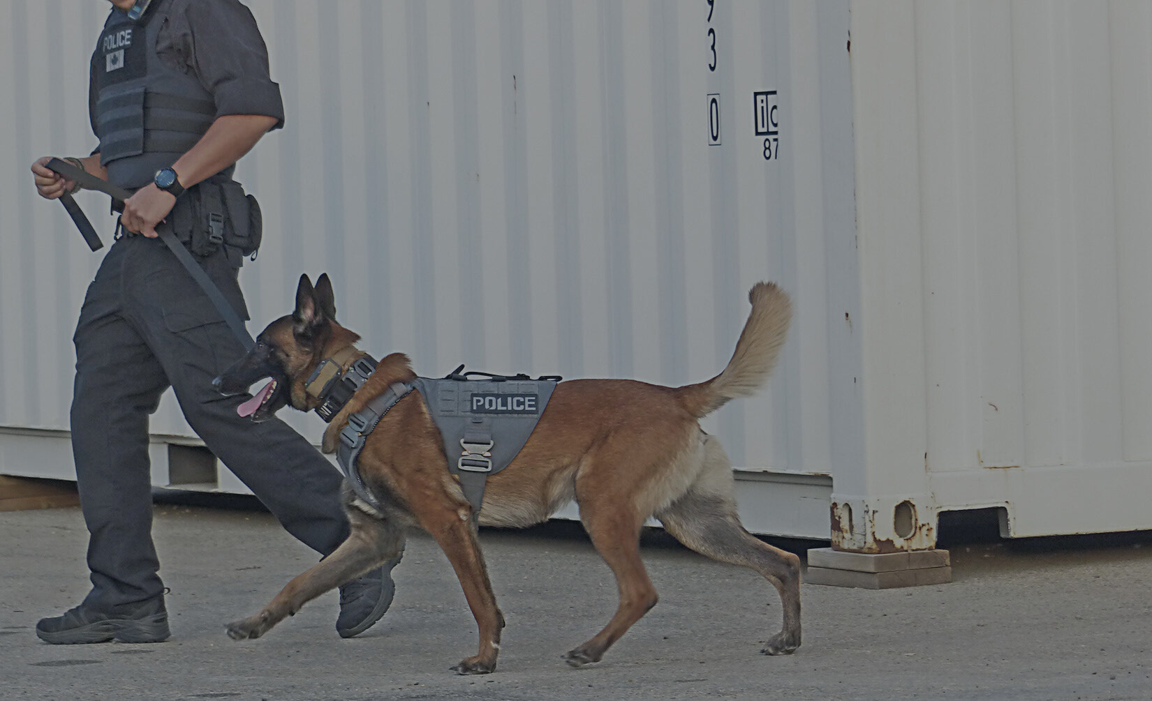 Law Enforcement